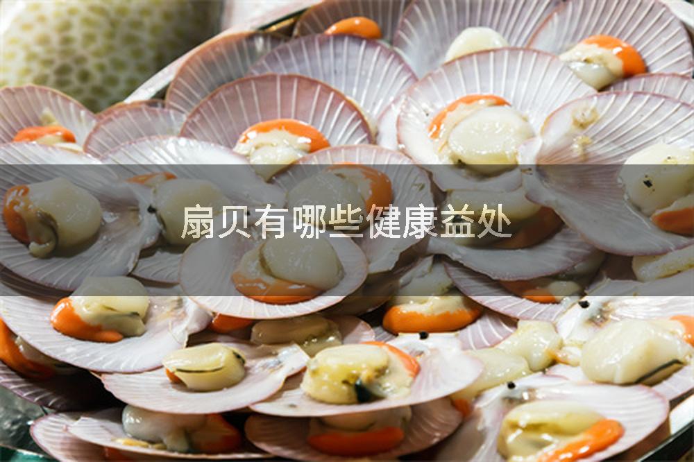 扇贝有哪些健康益处