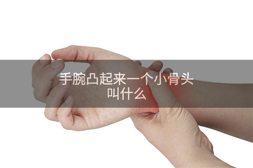 手腕凸起来一个小骨头叫什么