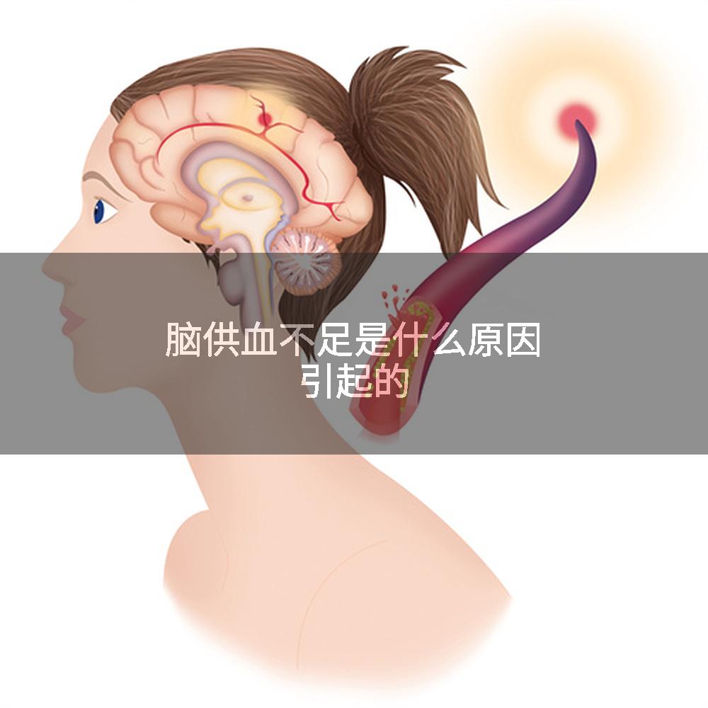 脑供血不足是什么原因引起的