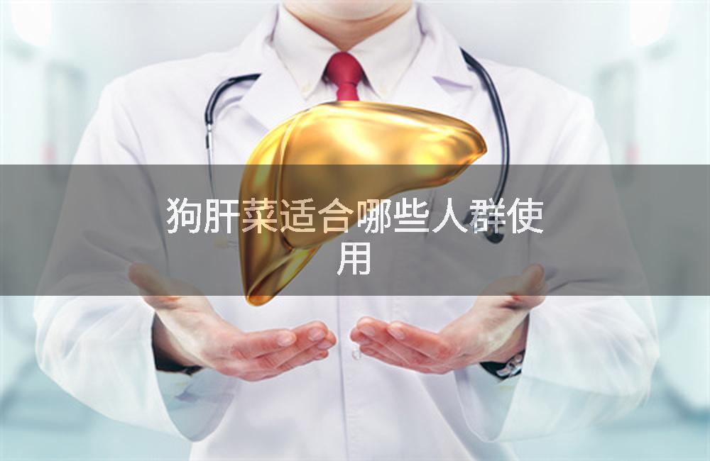 狗肝菜适合哪些人群使用