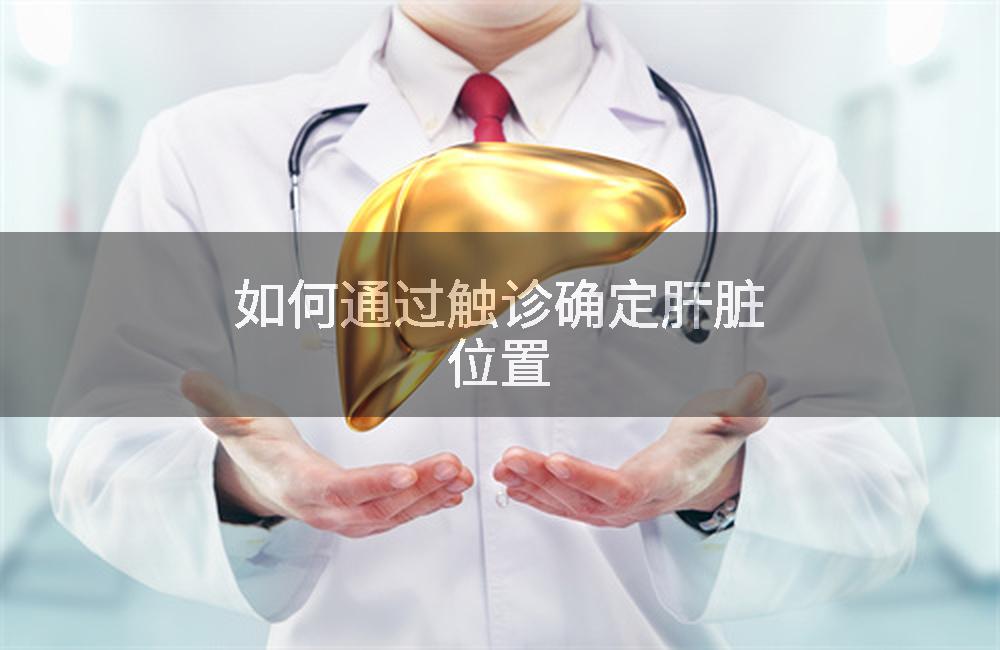 如何通过触诊确定肝脏位置