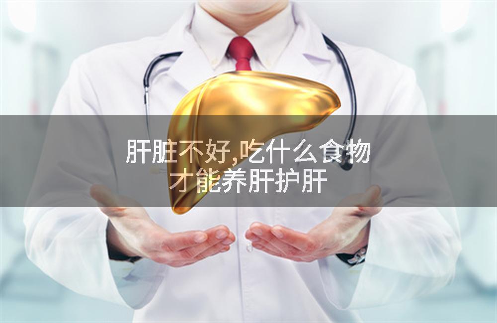 肝脏不好,吃什么食物才能养肝护肝