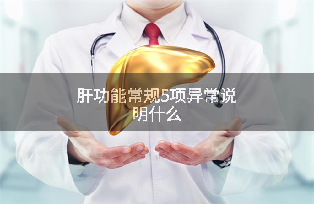 肝功能常规5项异常说明什么