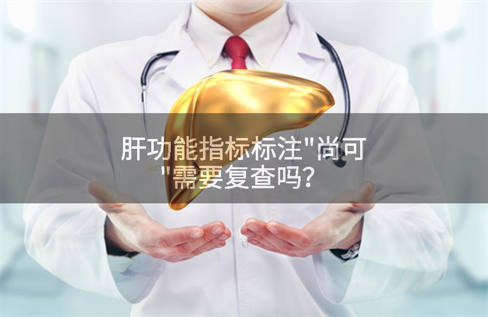 肝功能指标标注"尚可"需要复查吗？