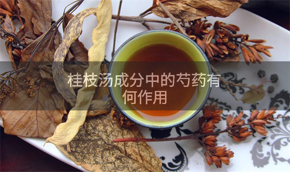 桂枝汤成分中的芍药有何作用