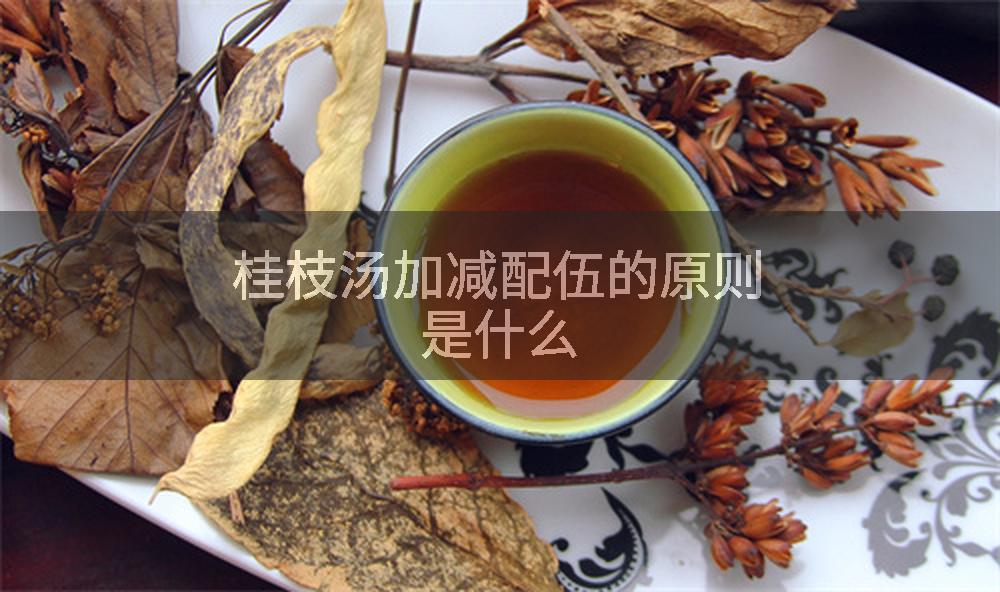 桂枝汤加减配伍的原则是什么