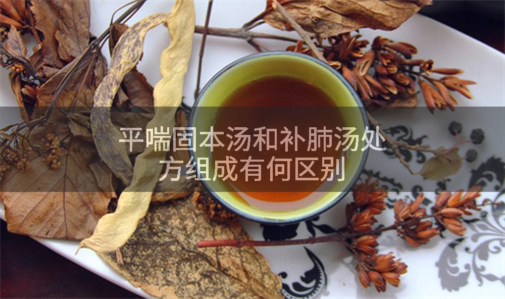 平喘固本汤和补肺汤处方组成有何区别