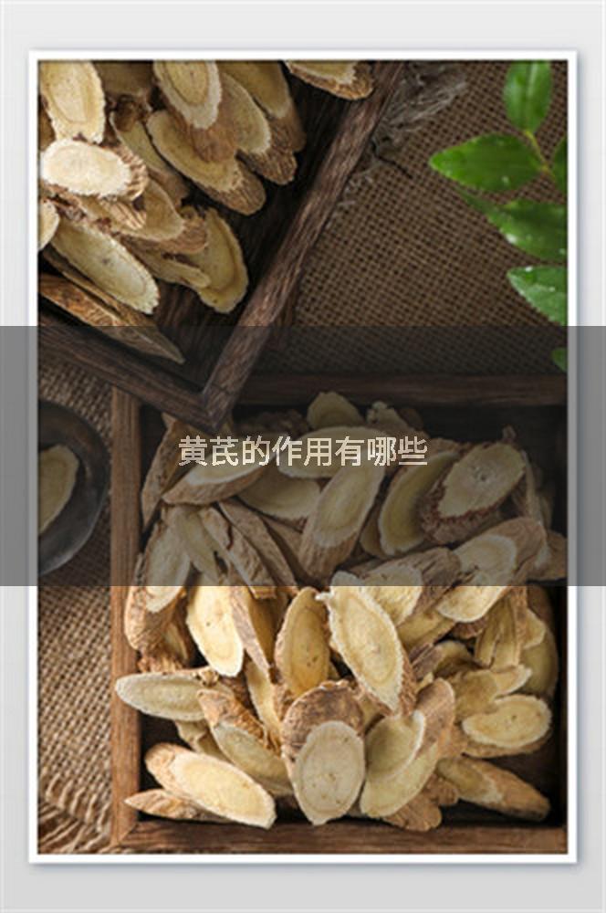 黄芪的作用有哪些