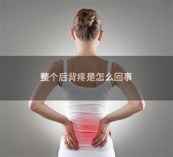 整个后背疼是怎么回事