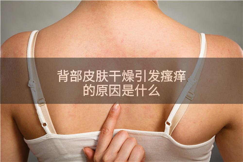 背部皮肤干燥引发瘙痒的原因是什么