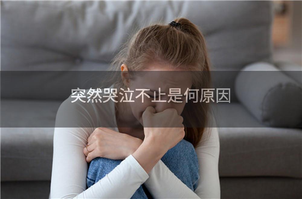 突然哭泣不止是何原因