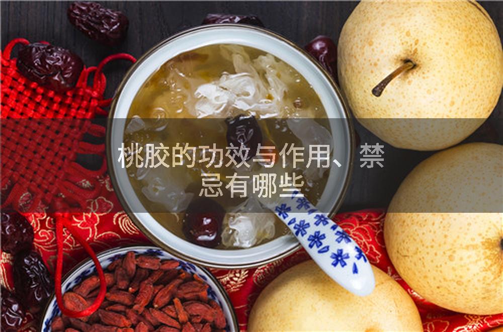 桃胶的功效与作用、禁忌有哪些