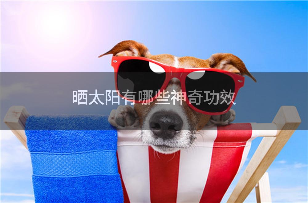 晒太阳有哪些神奇功效