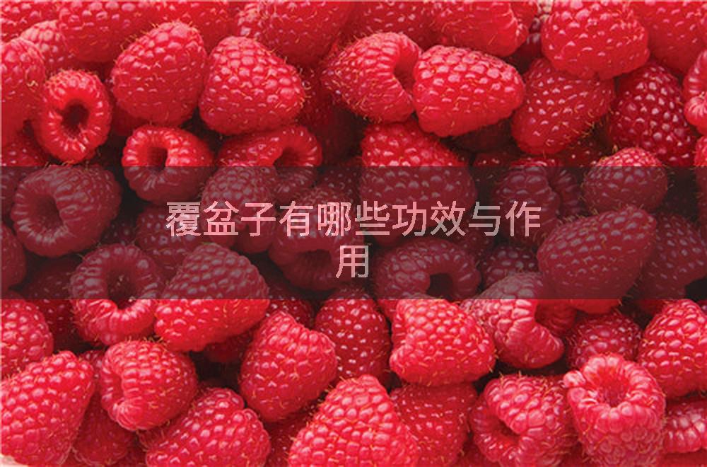 覆盆子有哪些功效与作用
