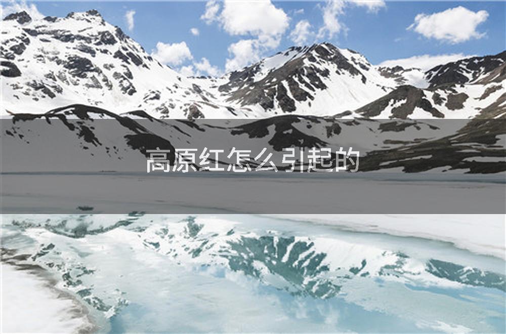 高原红怎么引起的
