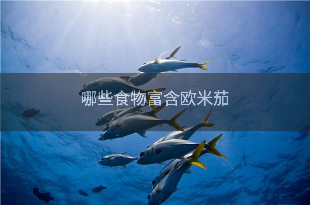 哪些食物富含欧米茄