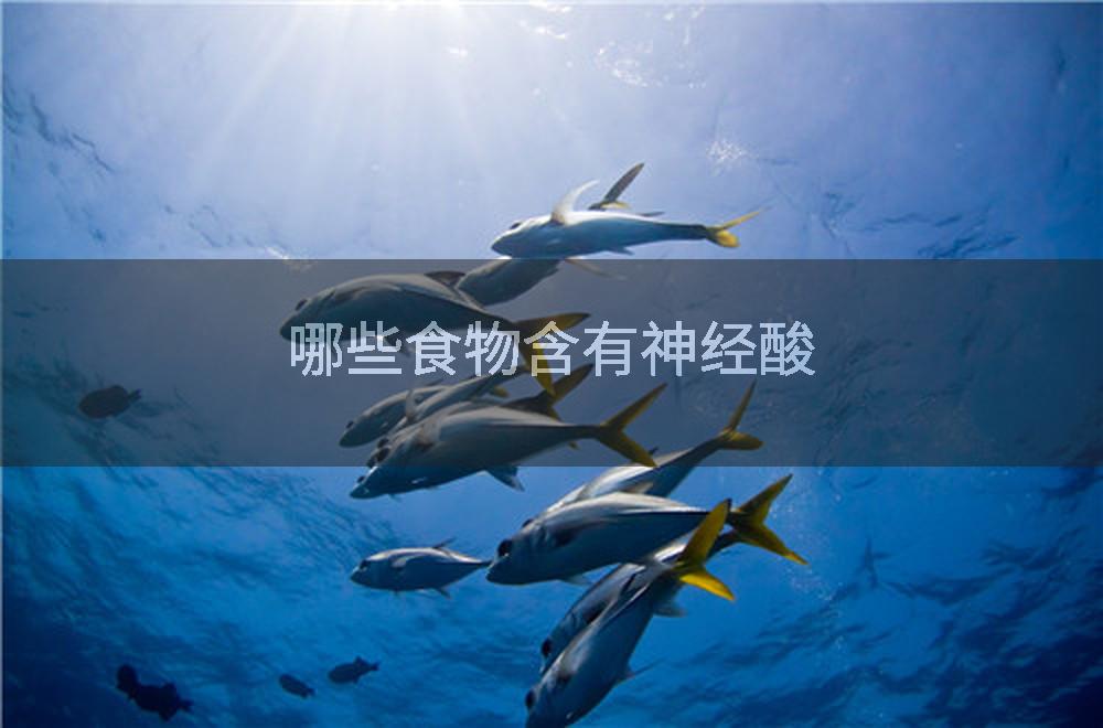 哪些食物含有神经酸