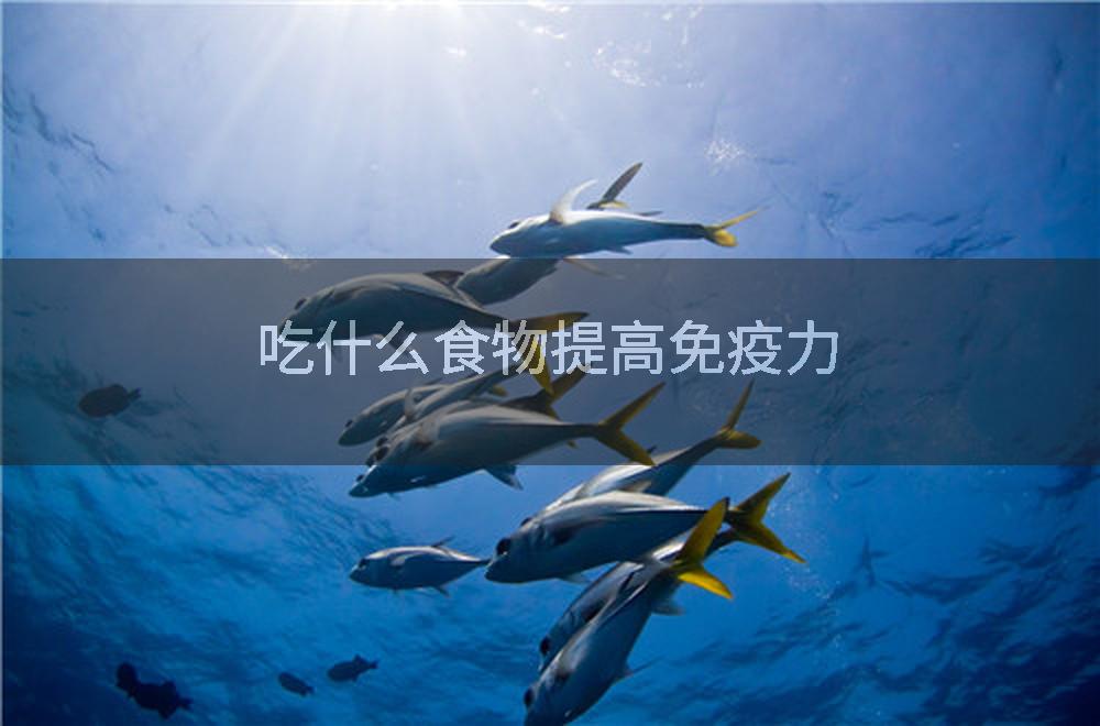 吃什么食物提高免疫力