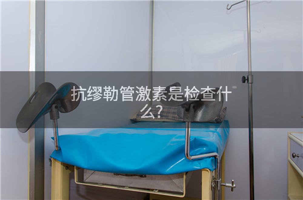 抗缪勒管激素是检查什么?