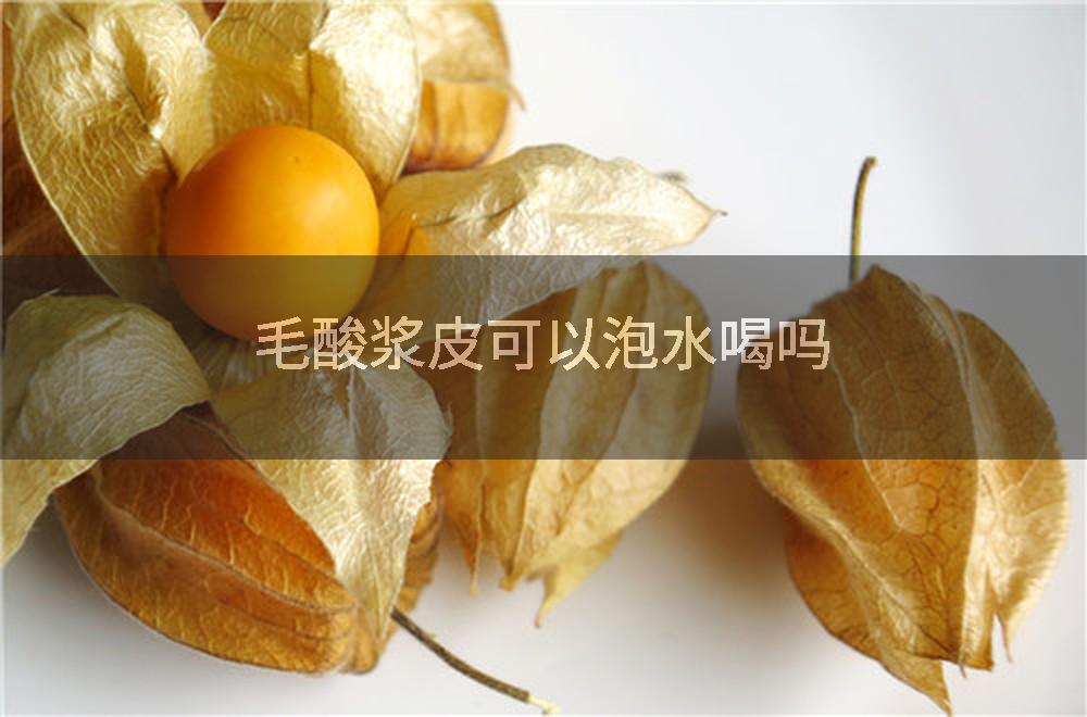 毛酸浆皮可以泡水喝吗