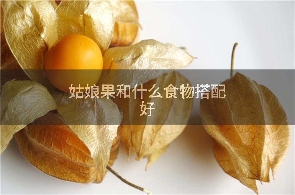 姑娘果和什么食物搭配好