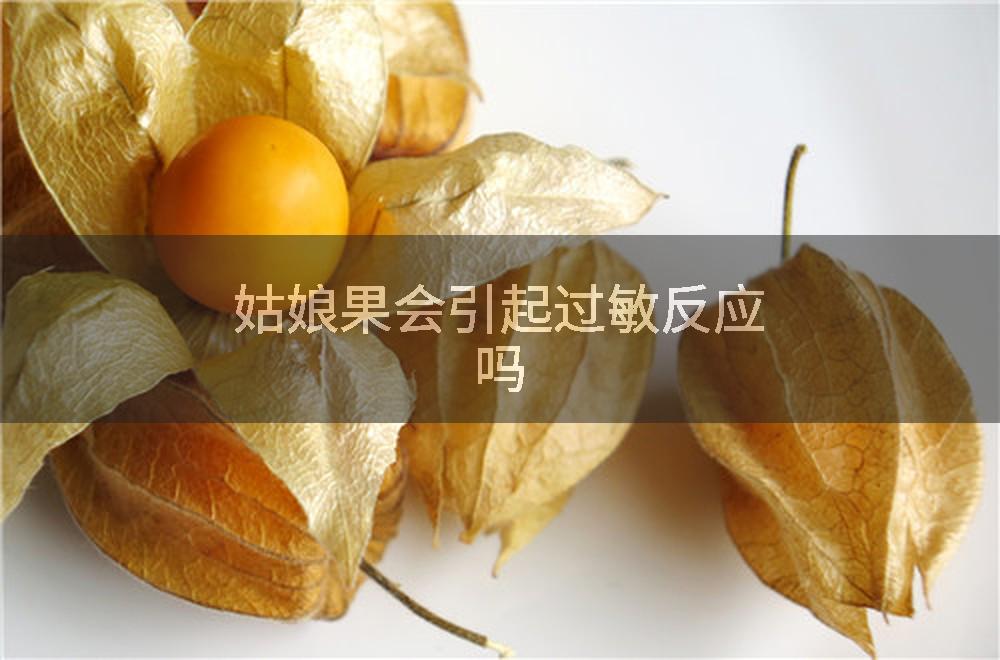 姑娘果会引起过敏反应吗
