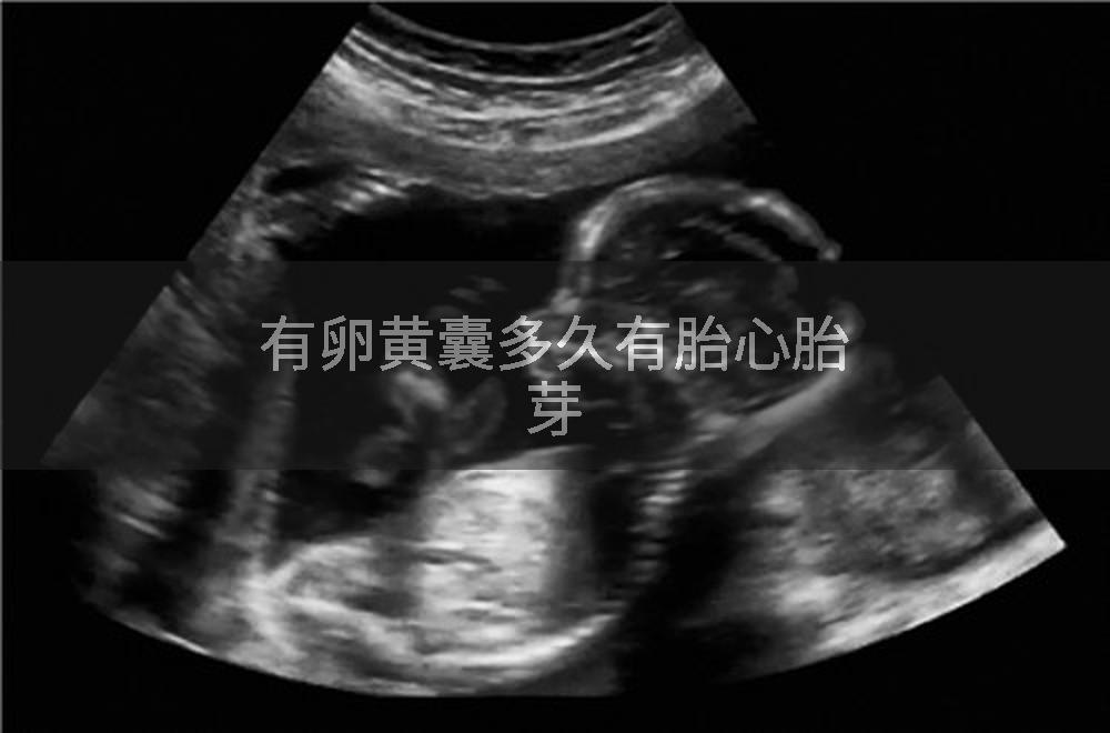 有卵黄囊多久有胎心胎芽