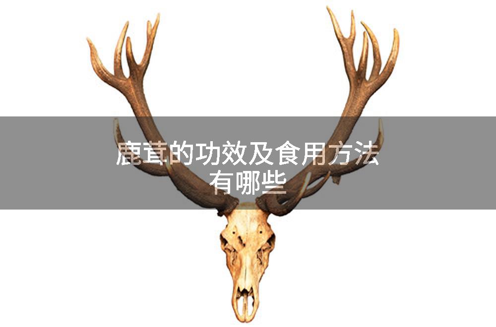 鹿茸的功效及食用方法有哪些