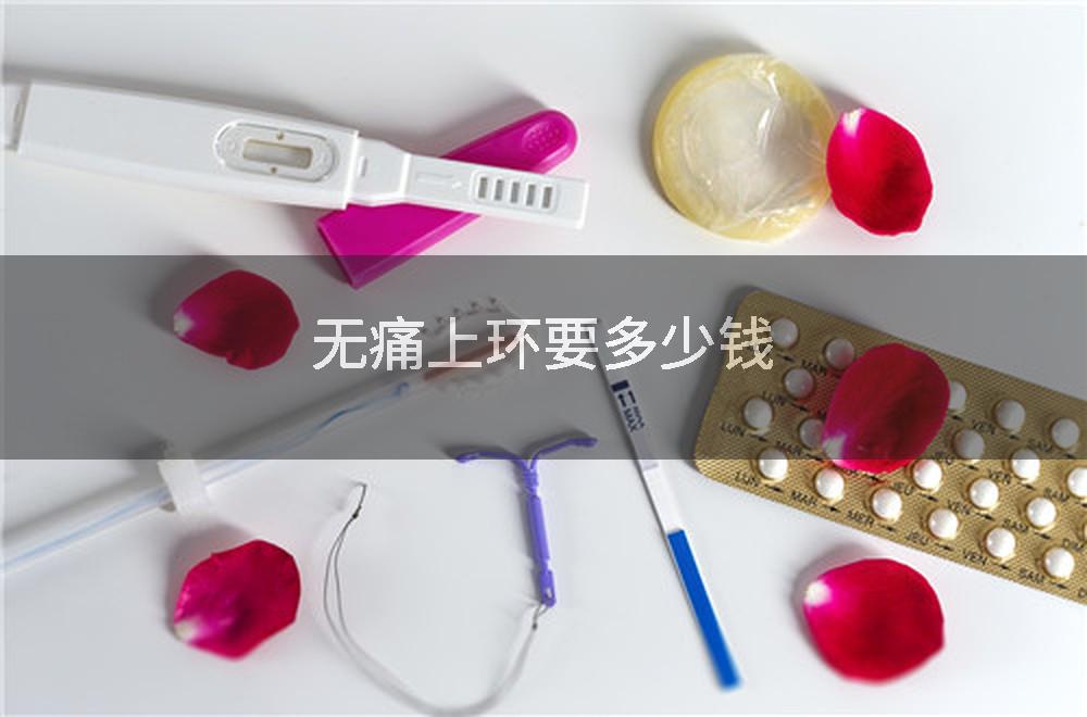 无痛上环要多少钱