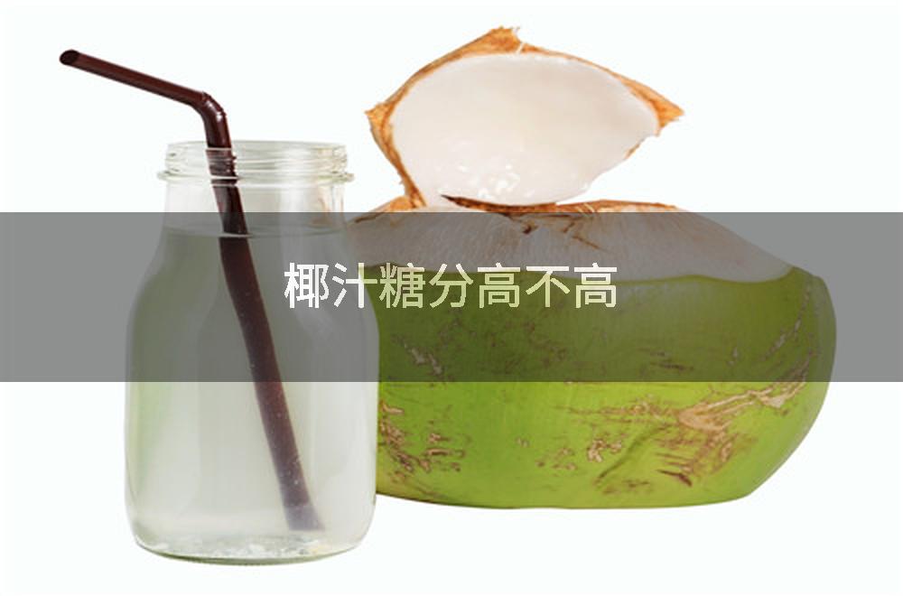 椰汁糖分高不高