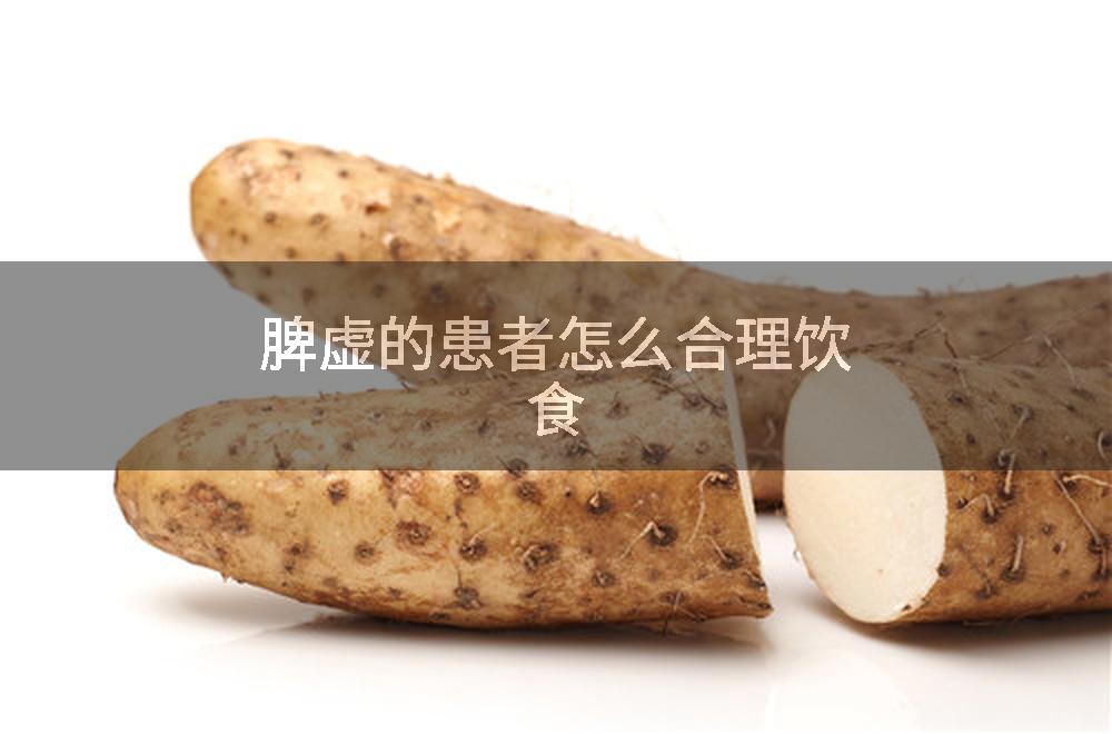 脾虚的患者怎么合理饮食