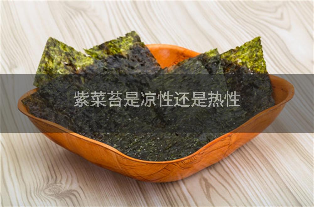紫菜苔是凉性还是热性