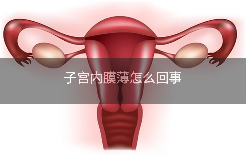子宫内膜薄怎么回事