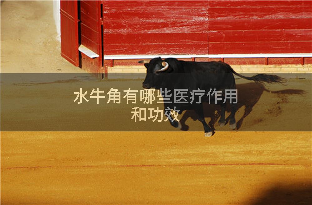 水牛角有哪些医疗作用和功效