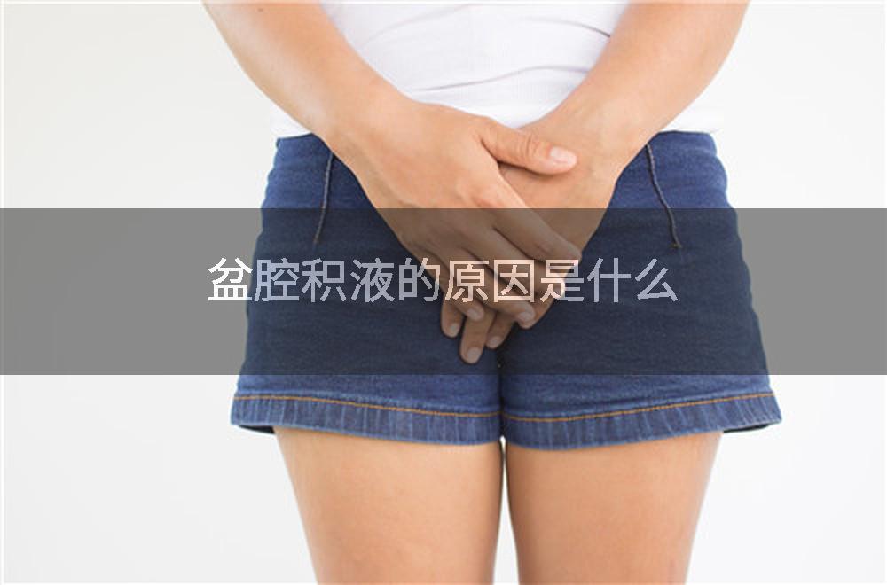 盆腔积液的原因是什么