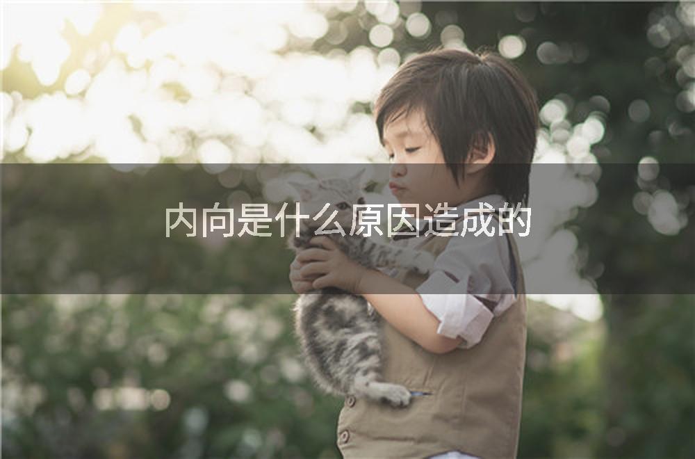 内向是什么原因造成的