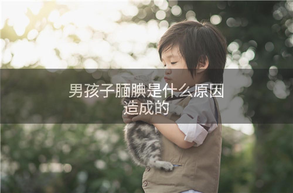 男孩子腼腆是什么原因造成的