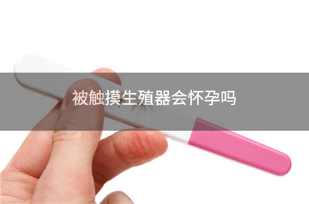 被触摸生殖器会怀孕吗