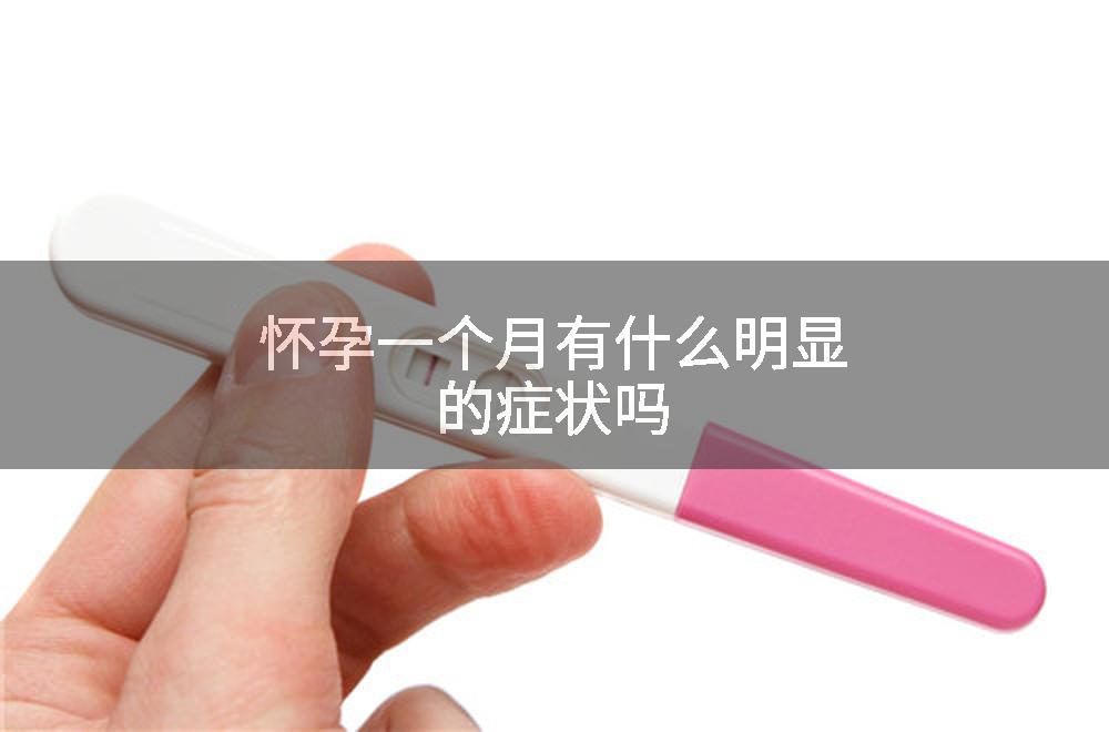 怀孕一个月有什么明显的症状吗