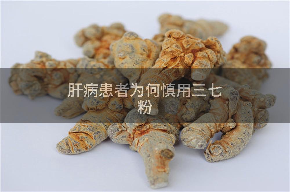 肝病患者为何慎用三七粉