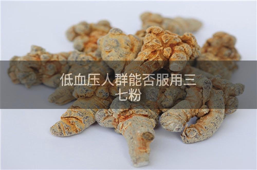 低血压人群能否服用三七粉
