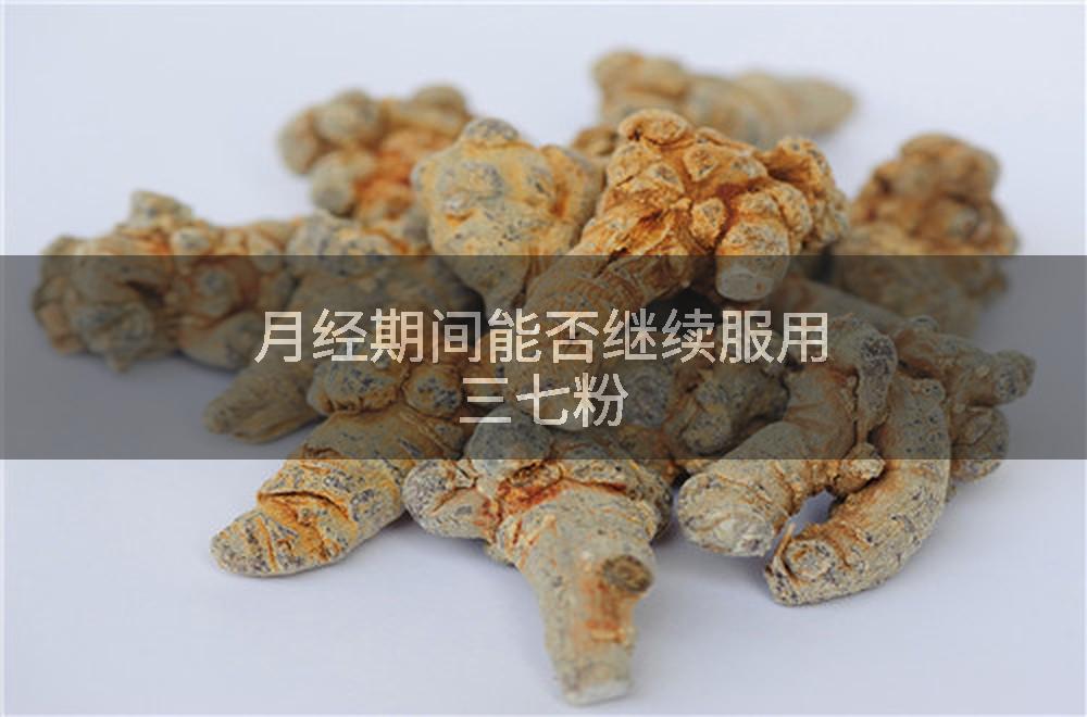 月经期间能否继续服用三七粉
