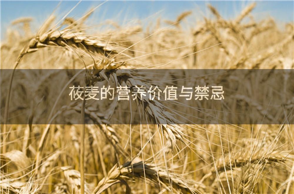莜麦的营养价值与禁忌
