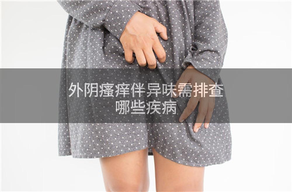外阴瘙痒伴异味需排查哪些疾病