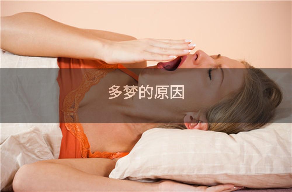 多梦的原因