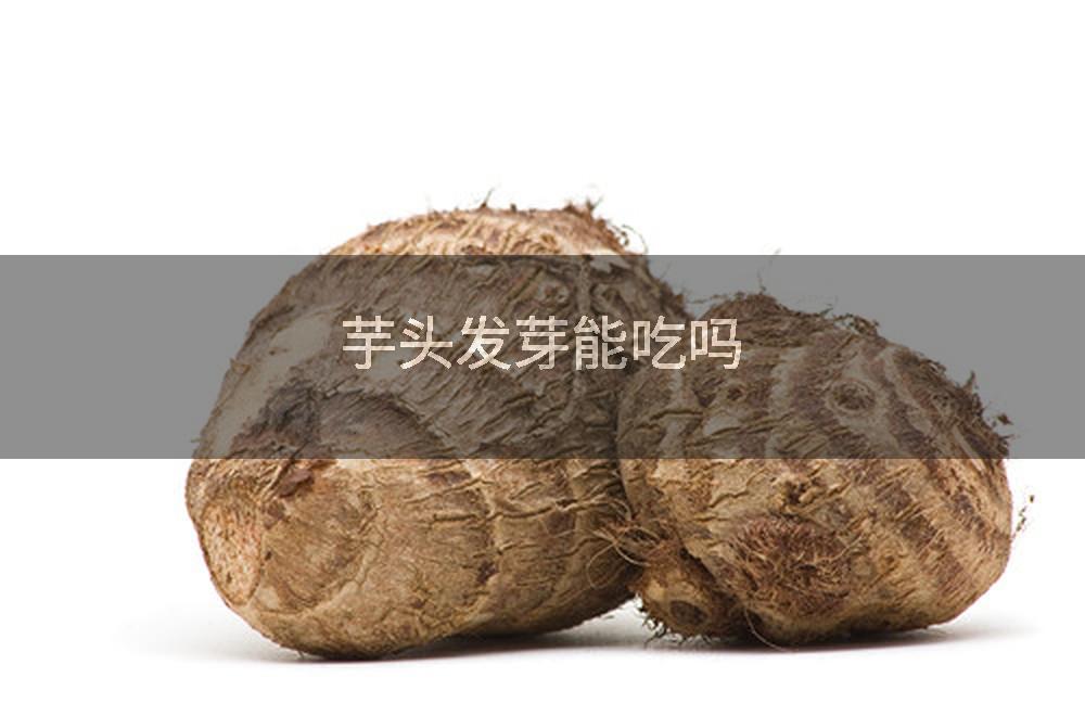 芋头发芽能吃吗