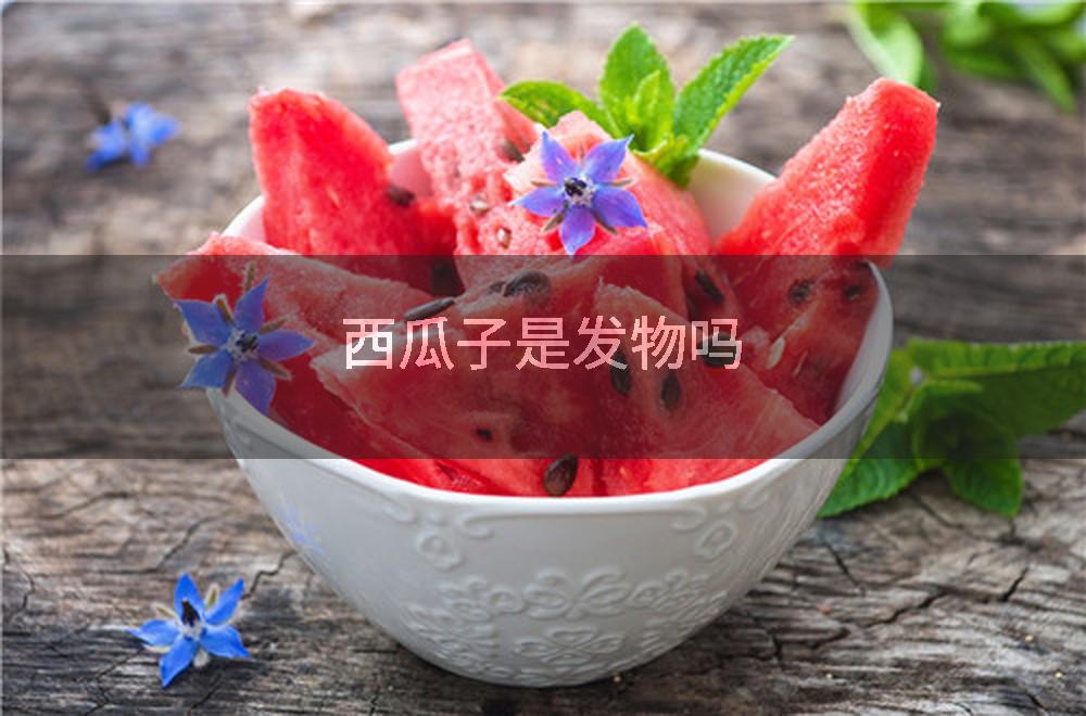 西瓜子是发物吗