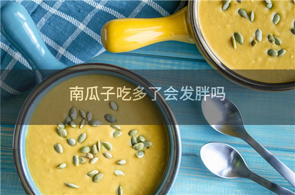 南瓜子吃多了会发胖吗