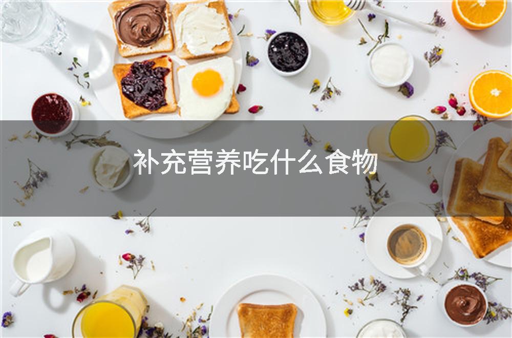 补充营养吃什么食物