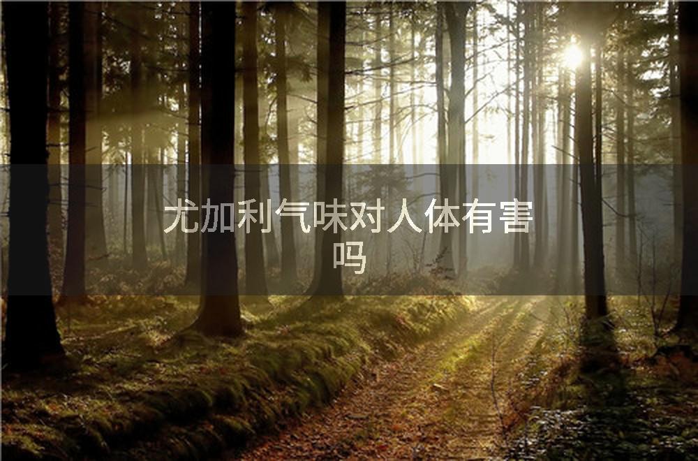 尤加利气味对人体有害吗